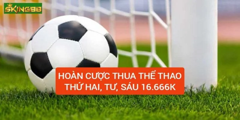 hoan-tien-cuoc-thua-the-thao-thu-hai-tu-sau-1666k