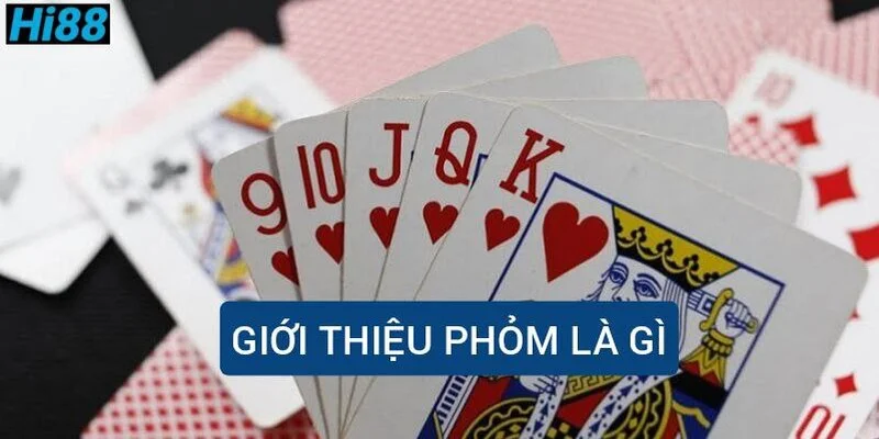 gioi-thieu-phom-la-gi