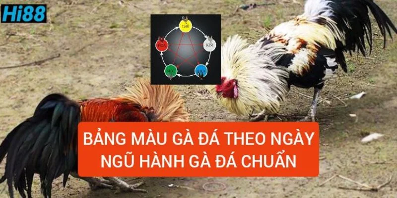 bang-mau-ga-da-theo-ngay-ngu-hanh-da-ga-chuan