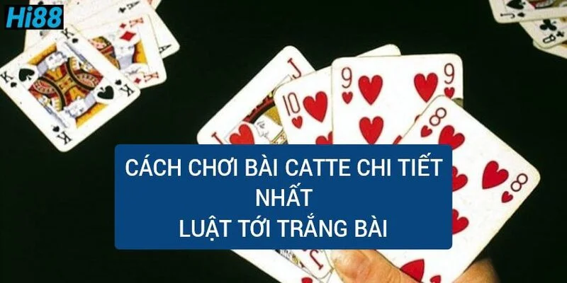 cach-choi-bai-catte-chi-tiet-luat-toi-trang-bai