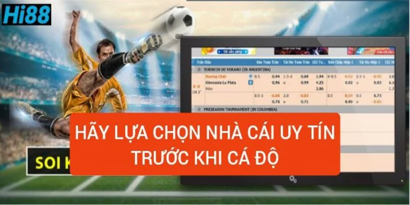 hay-nho-lua-chon-nha-cai-uy-tin-truoc-khi-ca-do