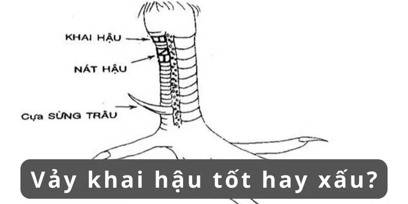 vay-khai-hau-tot-hay-xau